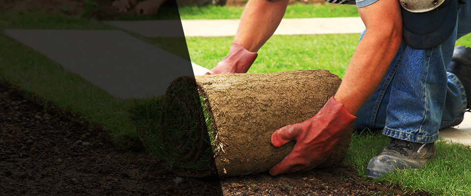 Cutchogue Landscapers